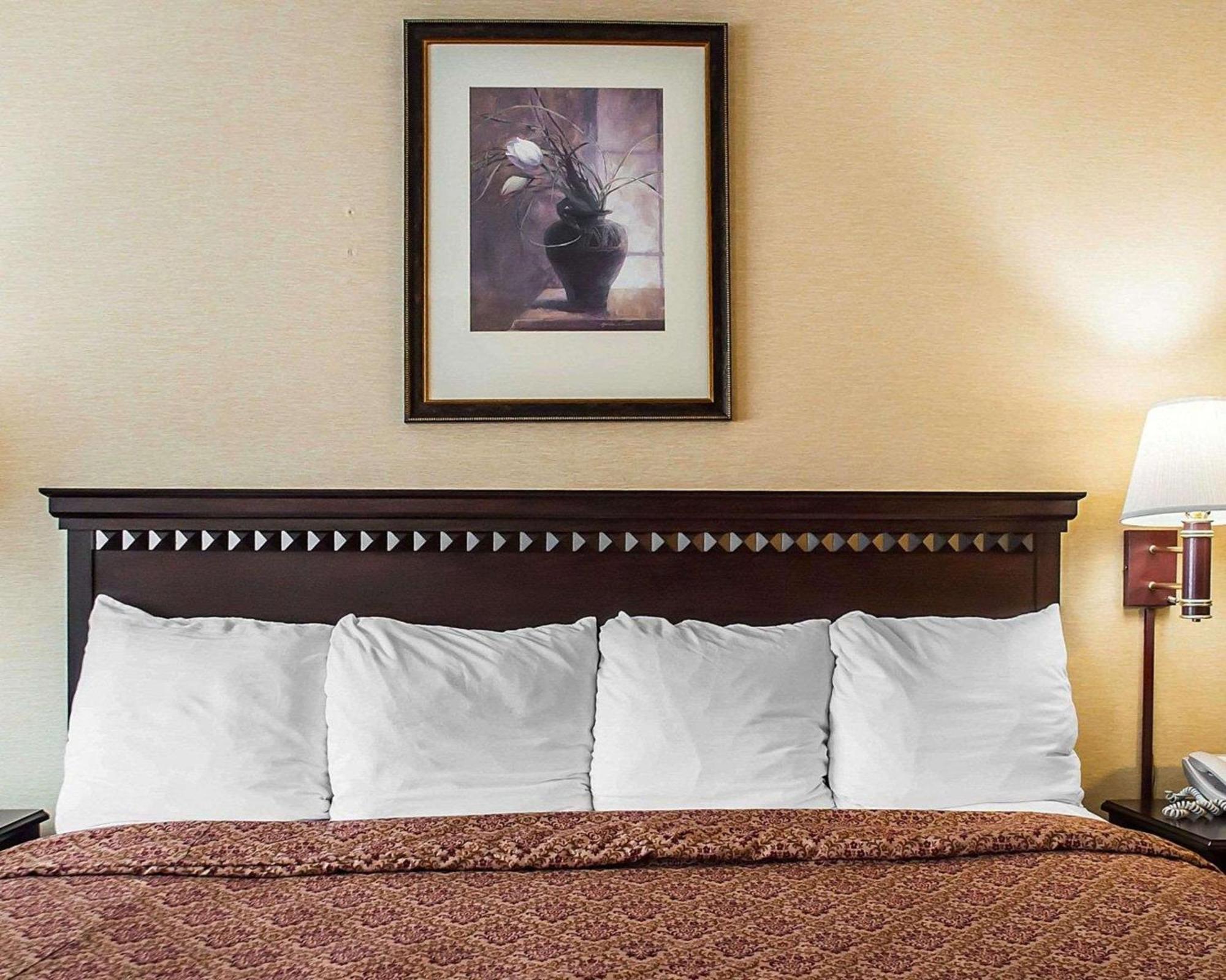 Econo Lodge Elmira-Corning Fisherville Kültér fotó
